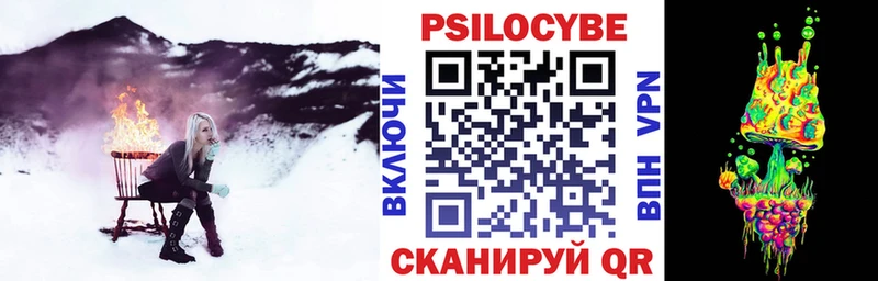 где купить наркоту  MEGA зеркало  Галлюциногенные грибы Magic Shrooms  Нововоронеж 