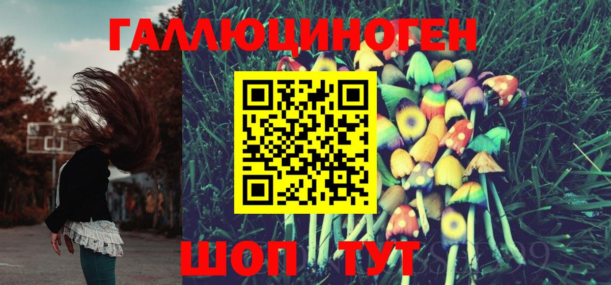 где продают наркотики  Галлюциногенные грибы мухоморы  Вход с VPN  Нововоронеж 