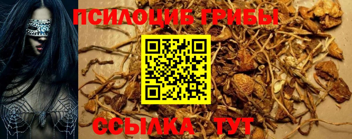Галлюциногенные грибы мицелий Нововоронеж